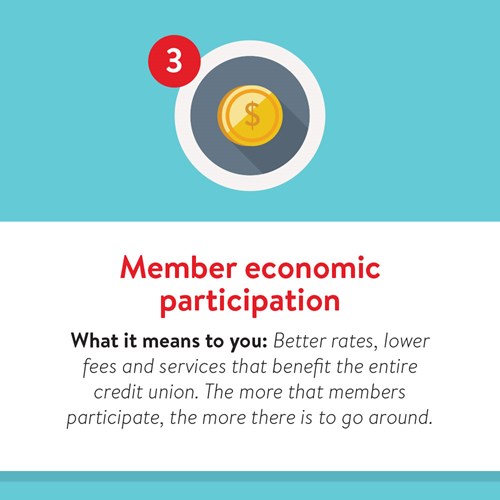 Member economic participation