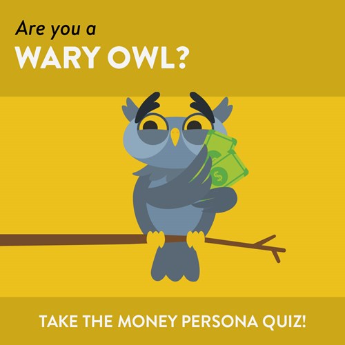 Are you a wary owl?