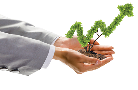 hands holding green plant